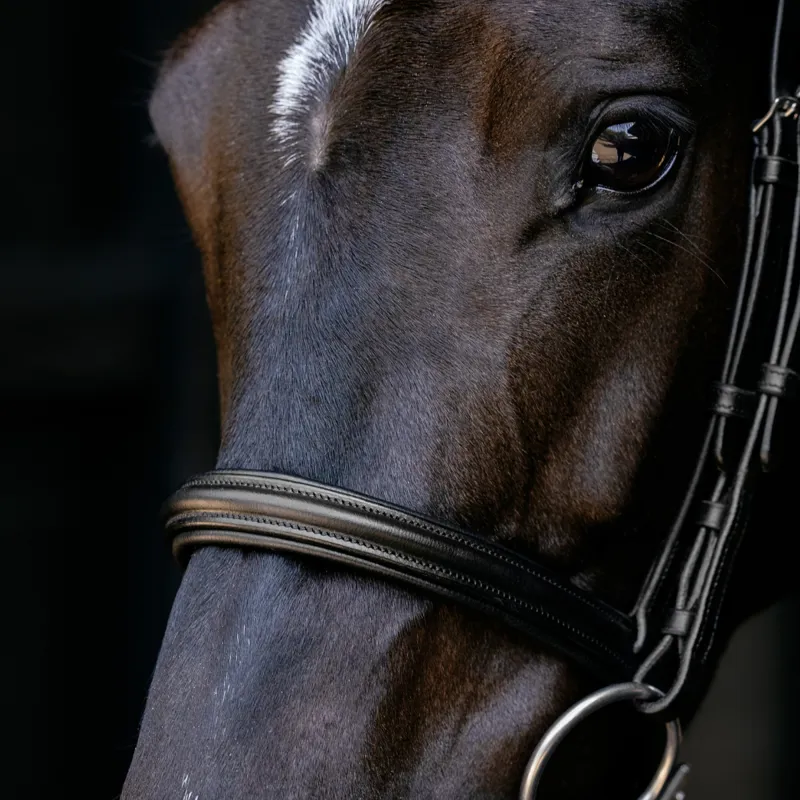 LeMieux Arika Cavesson Bridle - Black/Silver-3