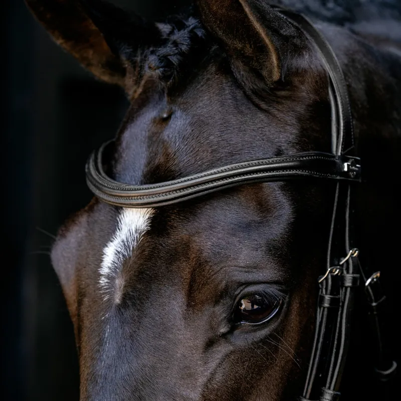 LeMieux Arika Cavesson Bridle - Black/Silver-2