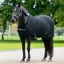 LeMieux Arika Clima-Tek Fleece Rug - Black