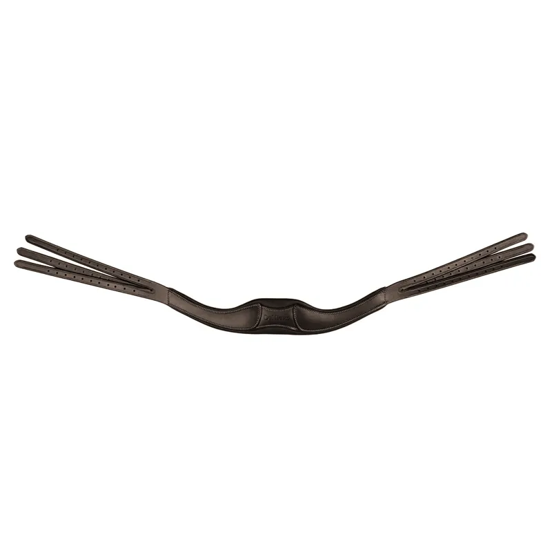 LeMieux Arika Contrast Anatomic Headpiece - Brown/Silver