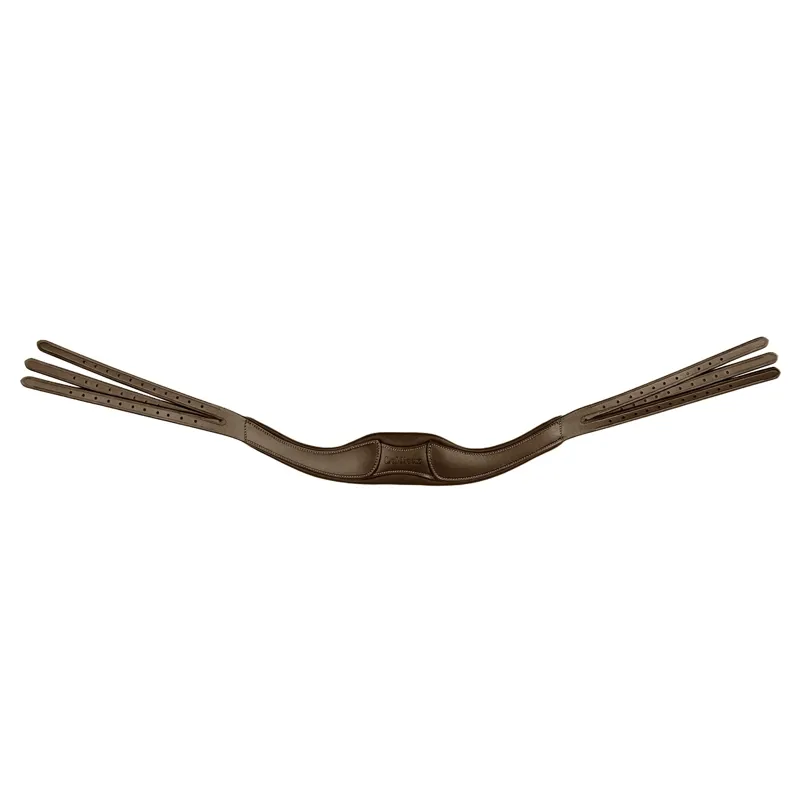 LeMieux Arika Contrast Anatomic Headpiece - Havana/Silver