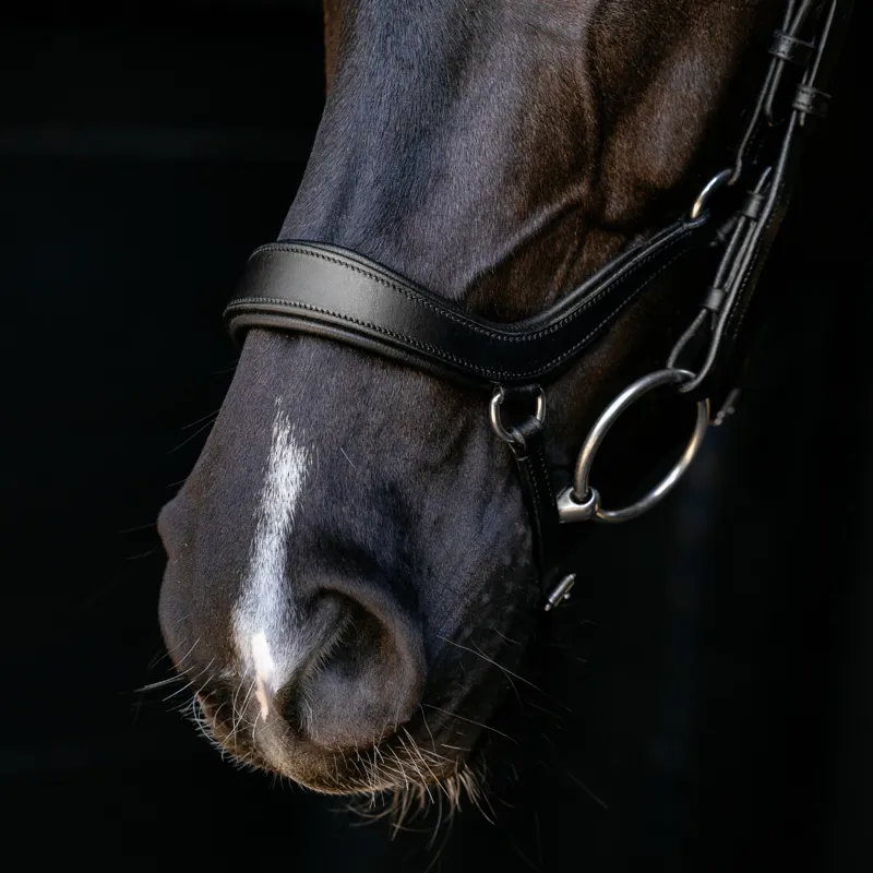 LeMieux Arika Drop Bridle - Black/Silver-3