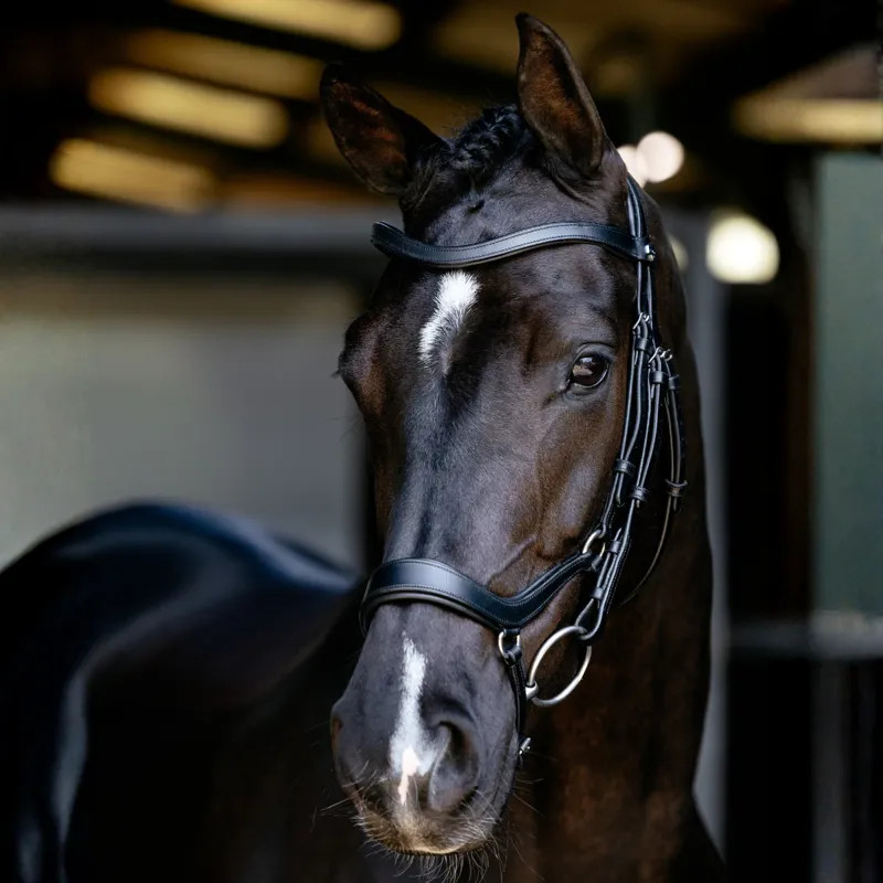 LeMieux Arika Drop Bridle - Black/Silver