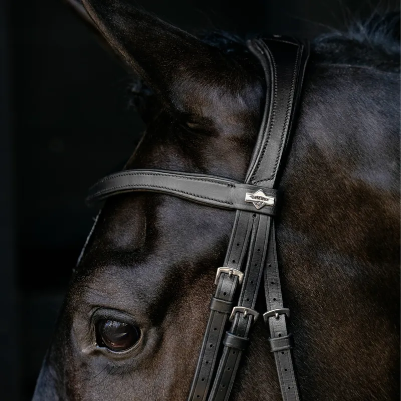 LeMieux Arika Drop Bridle - Black/Silver-2
