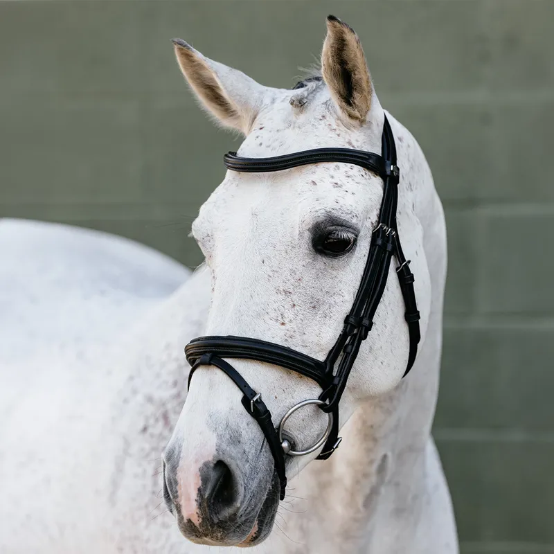 LeMieux Arika Flash Bridle - Black/Silver