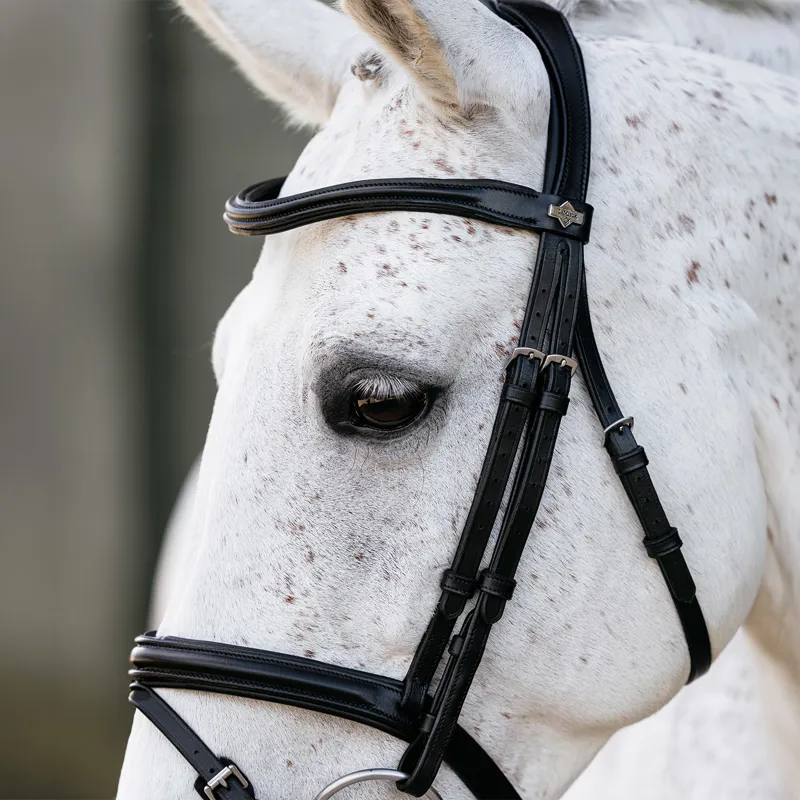 LeMieux Arika Flash Bridle - Black/Silver-1
