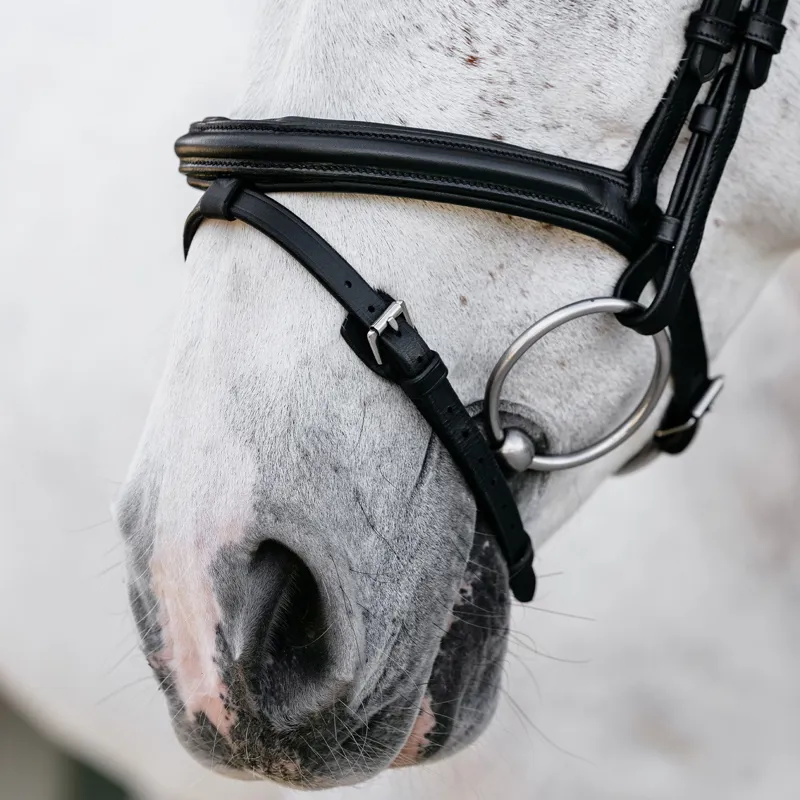 LeMieux Arika Anatomic Flash Bridle - Black/Silver-3