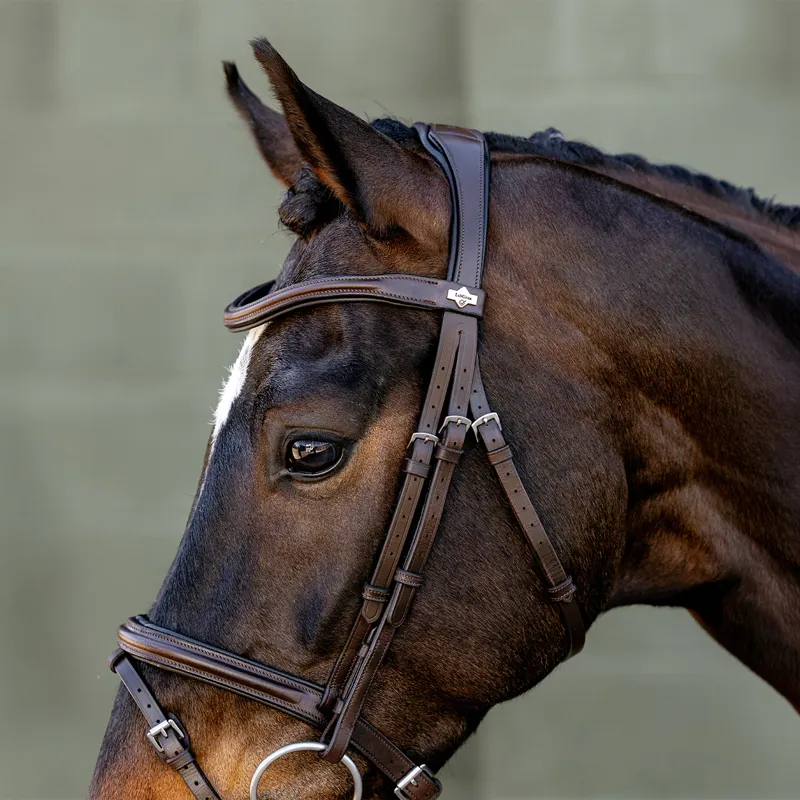 LeMieux Arika Flash Bridle - Brown/Silver-1