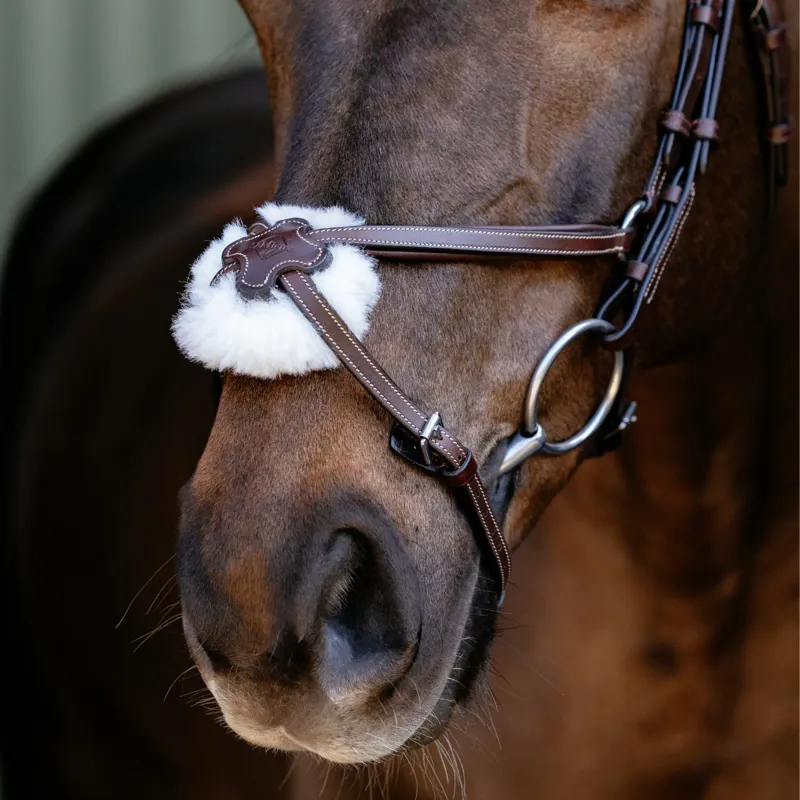 LeMieux Arika Grackle Bridle - Havana/Silver-4