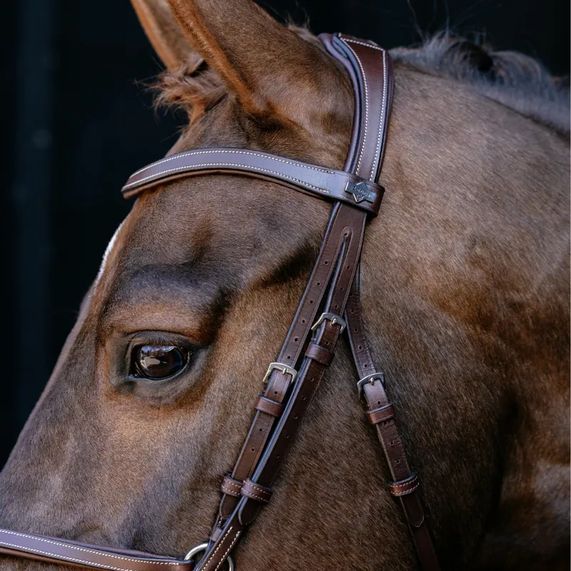 LeMieux Arika Grackle Bridle - Havana/Silver-3