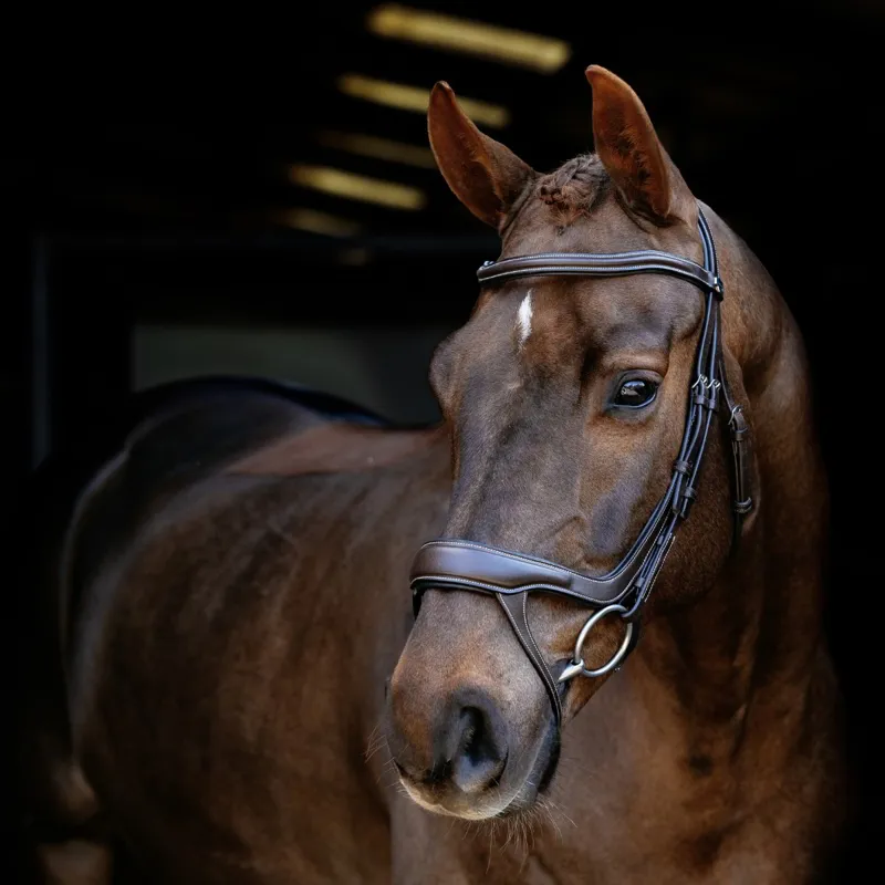 LeMieux Arika Split Noseband Bridle - Brown-1
