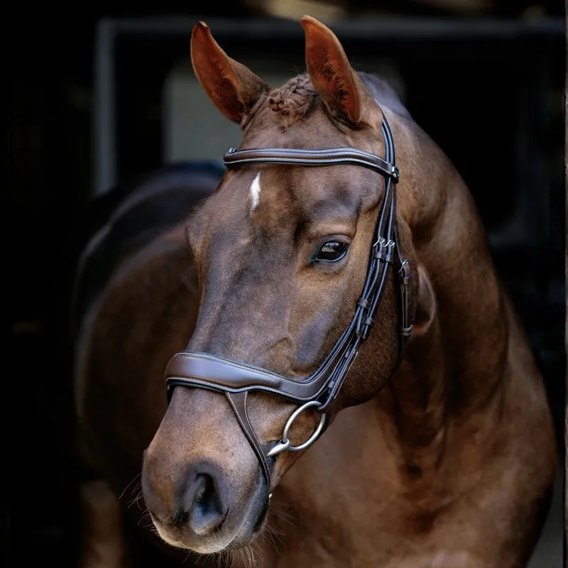 LeMieux Arika Split Noseband Bridle - Brown-4
