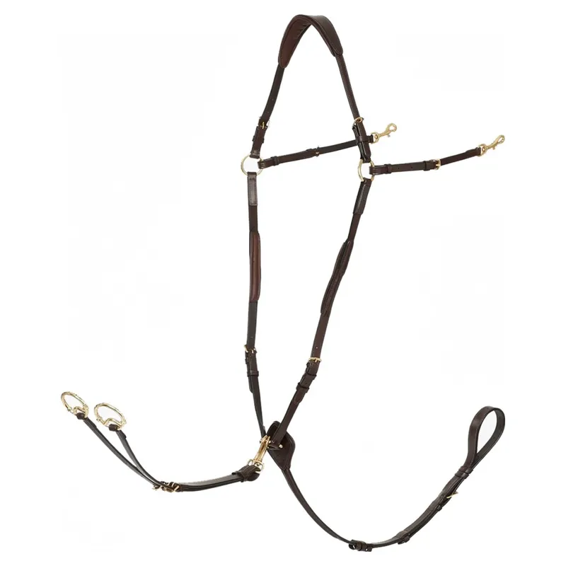 LeMieux Breastplate with Detachable Martingale - Havana/Brass