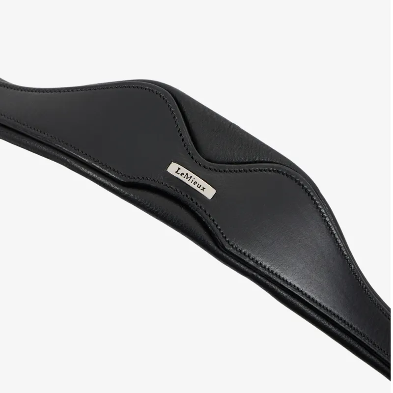 LeMieux Cross Functional Leather Lunge Cavesson - Black-2