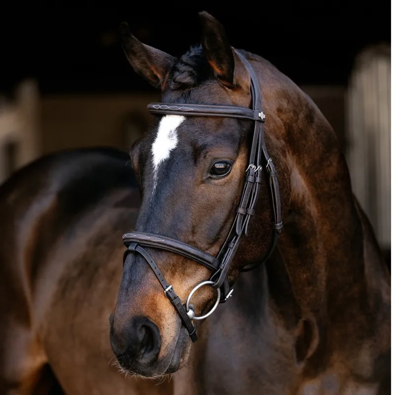LeMieux Classique Flash Bridle - Brown-1