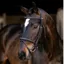 LeMieux Classique Flash Bridle - Brown/Silver