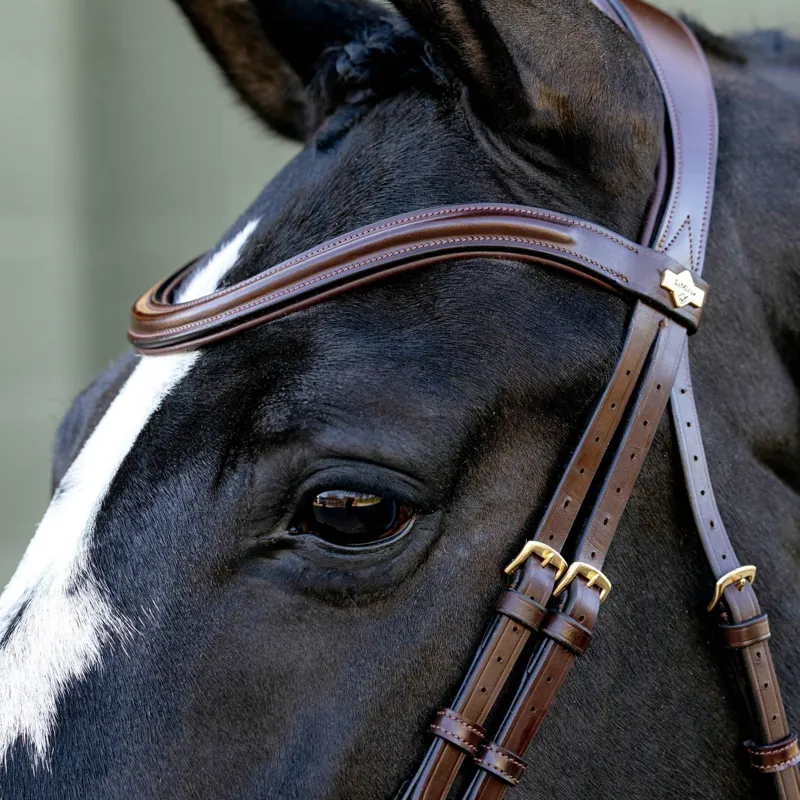 LeMieux Kudos Sport Bridle - Brown-2