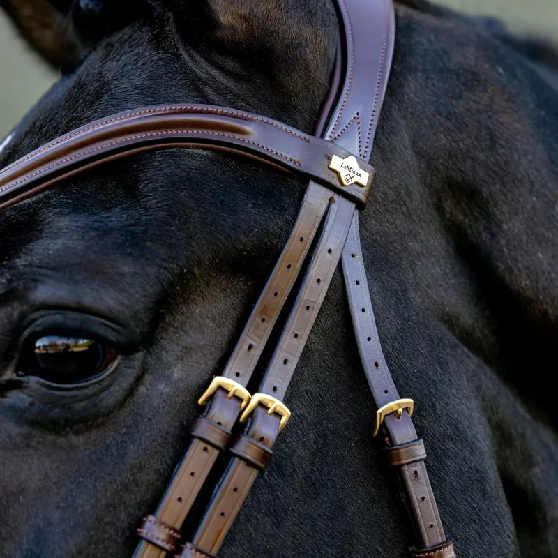 LeMieux Kudos Sport Bridle - Brown-4