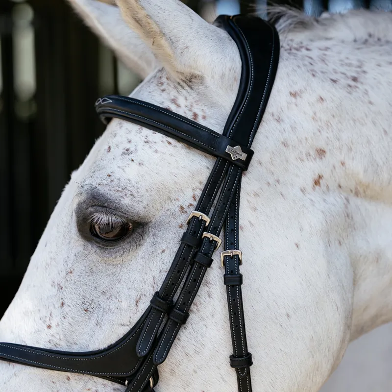 LeMieux Kudos Work Grackle Bridle - Black/Silver-4