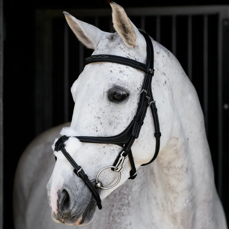 LeMieux Kudos Work Grackle Bridle - Black/Silver-2