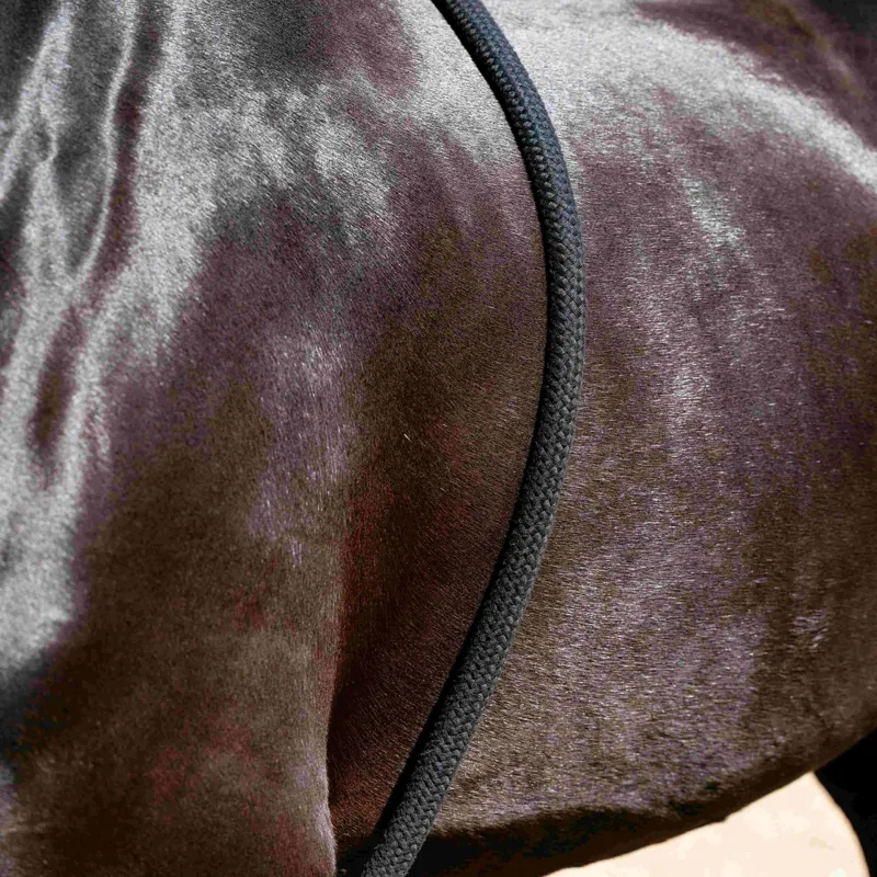 LeMieux Lunging Aid Rope - Black-3