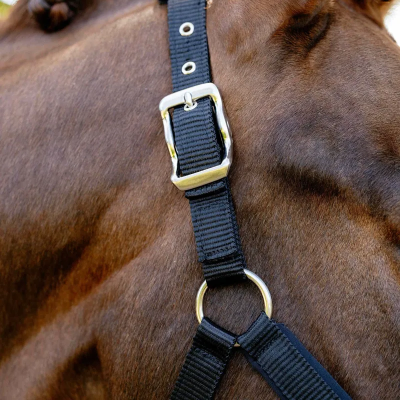 LeMieux Vogue Breakaway Headcollar - Black-2