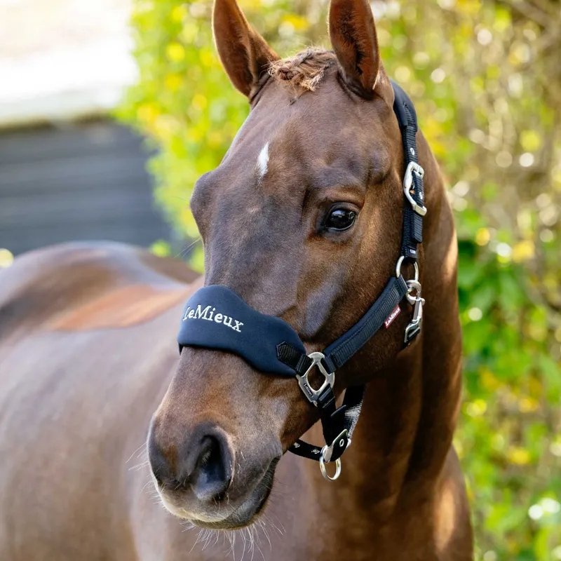 LeMieux Vogue Breakaway Headcollar - Black-1
