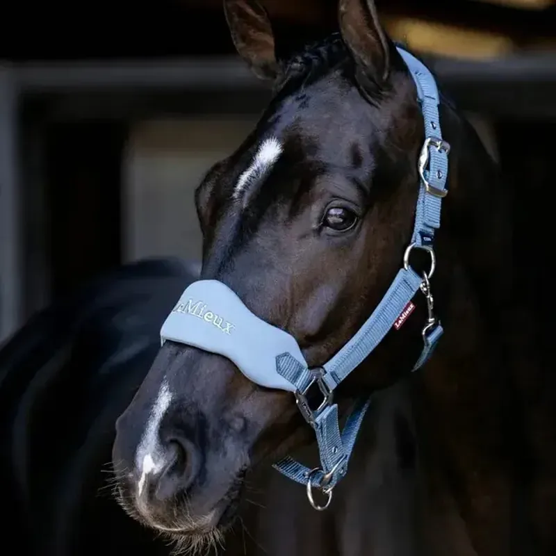 LeMieux Vogue Breakaway Headcollar - Ice Blue-1