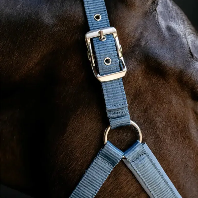 LeMieux Vogue Breakaway Headcollar - Ice Blue-3