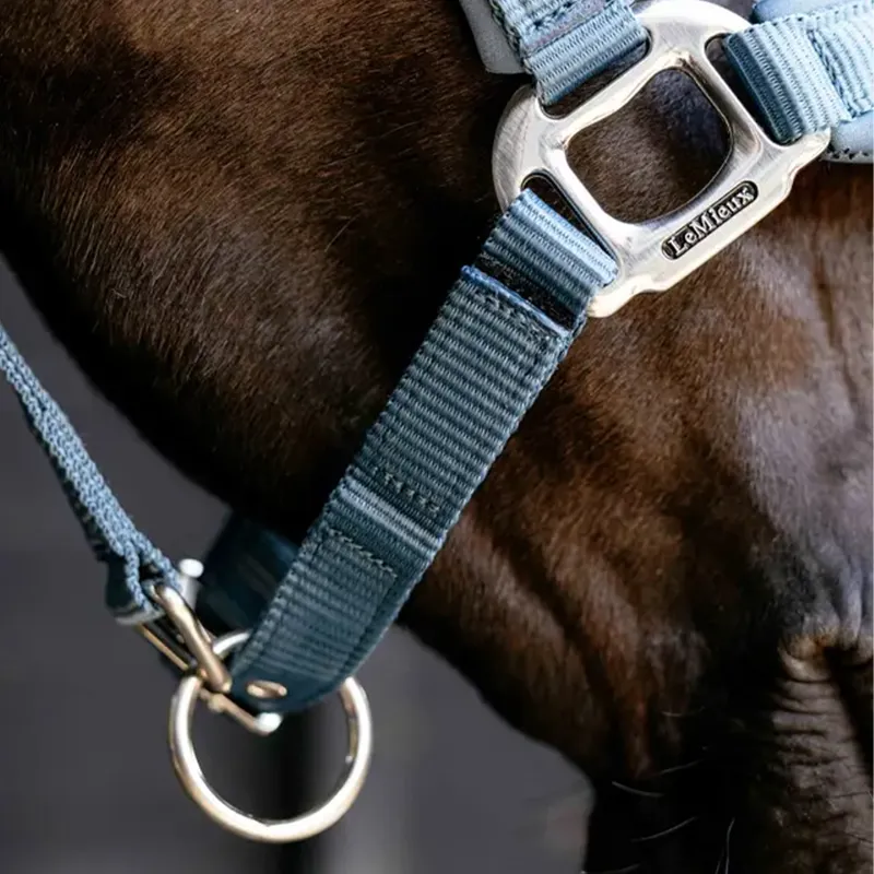 LeMieux Vogue Breakaway Headcollar - Ice Blue-2