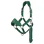 LeMieux Vogue Breakaway Headcollar - Hunter Green