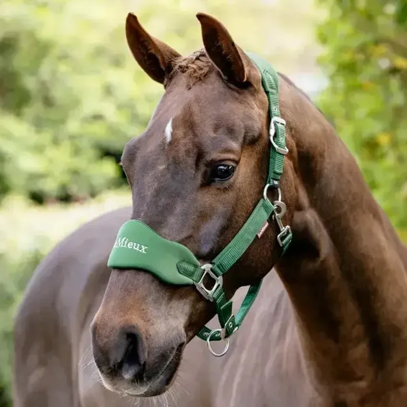 LeMieux Vogue Breakaway Headcollar - Hunter Green-1