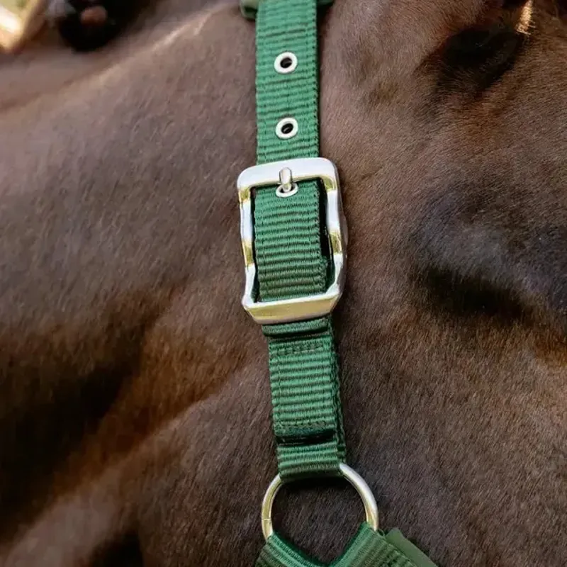 LeMieux Vogue Breakaway Headcollar - Hunter Green-3