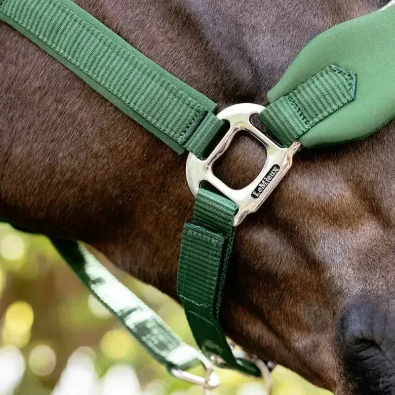 LeMieux Vogue Breakaway Headcollar - Hunter Green-2