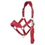 LeMieux Vogue Breakaway Headcollar - Chilli