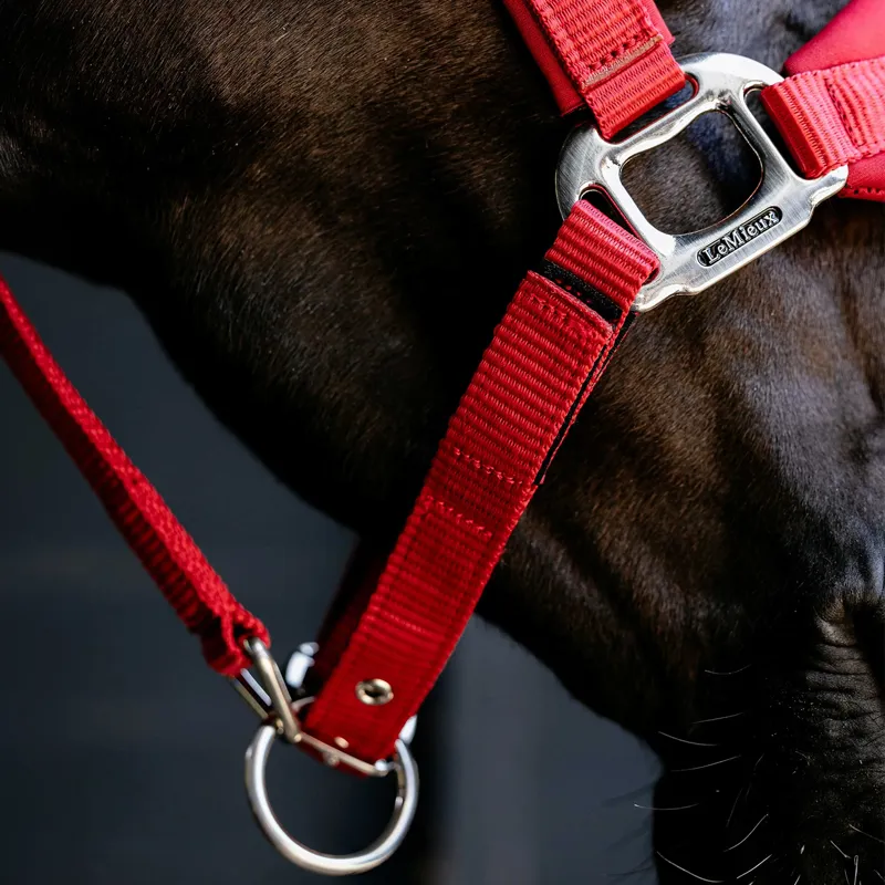 LeMieux Vogue Breakaway Headcollar - Chilli-3