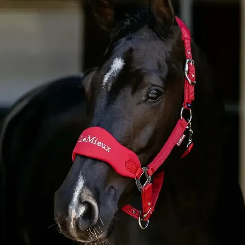 LeMieux Vogue Breakaway Headcollar - Chilli-1
