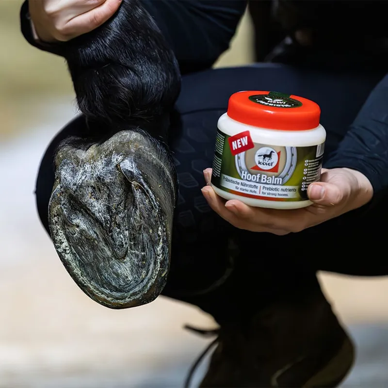 Leovet Prebiotic Hoof Balm-1