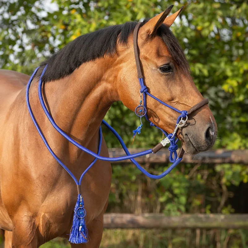 QHP Liberty Combi Headcollar and Neck Rope - Cobalt Blue