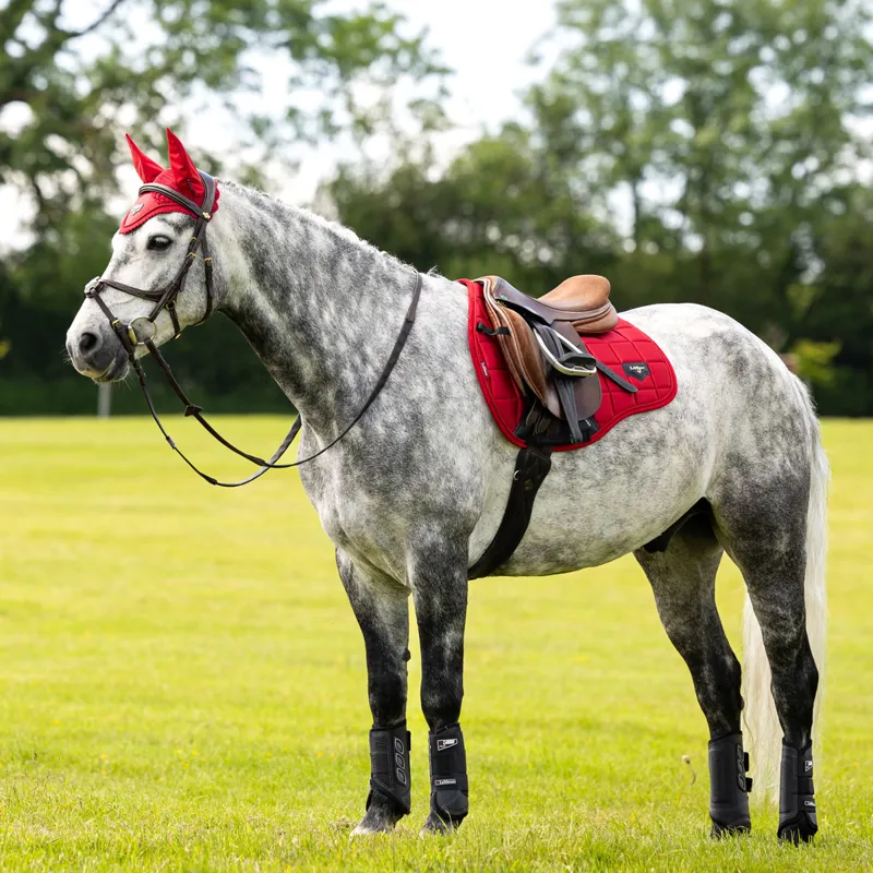 LeMieux Loire Classic Satin GP Square - Chilli-7