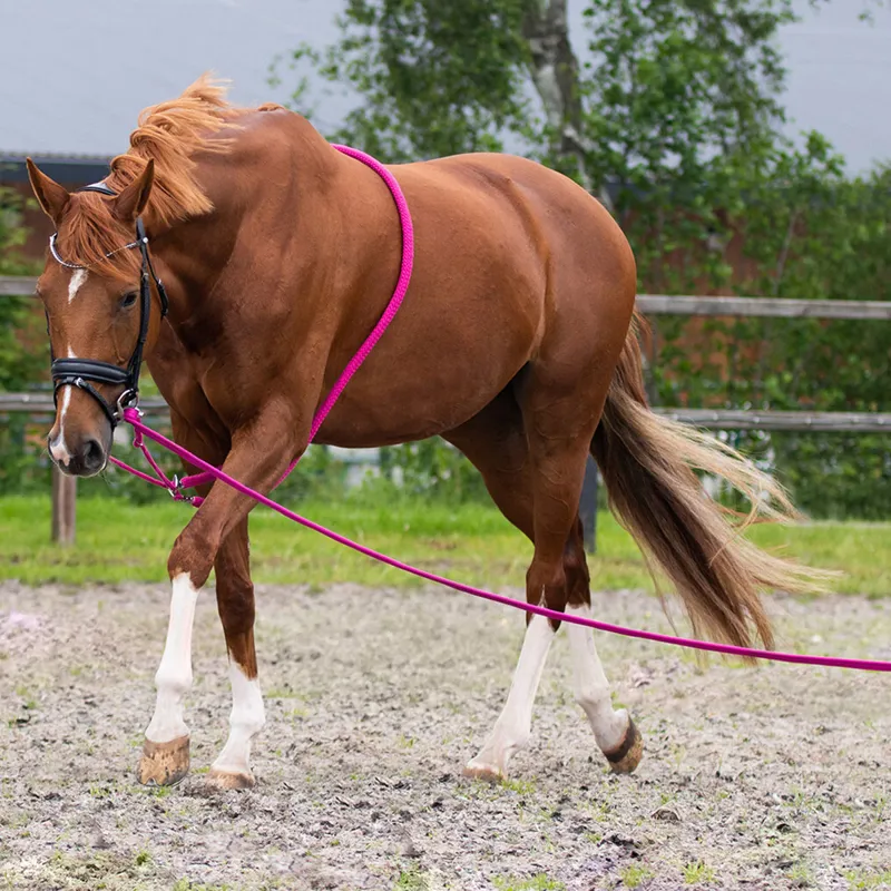 QHP Lunge Line in Bag - Fuchsia-1