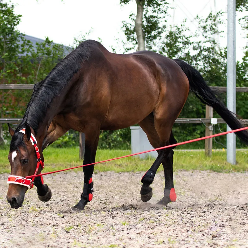 QHP Lunge Line in Bag - Bright Red-1