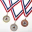 Elico Medal with Ribbon - Silver