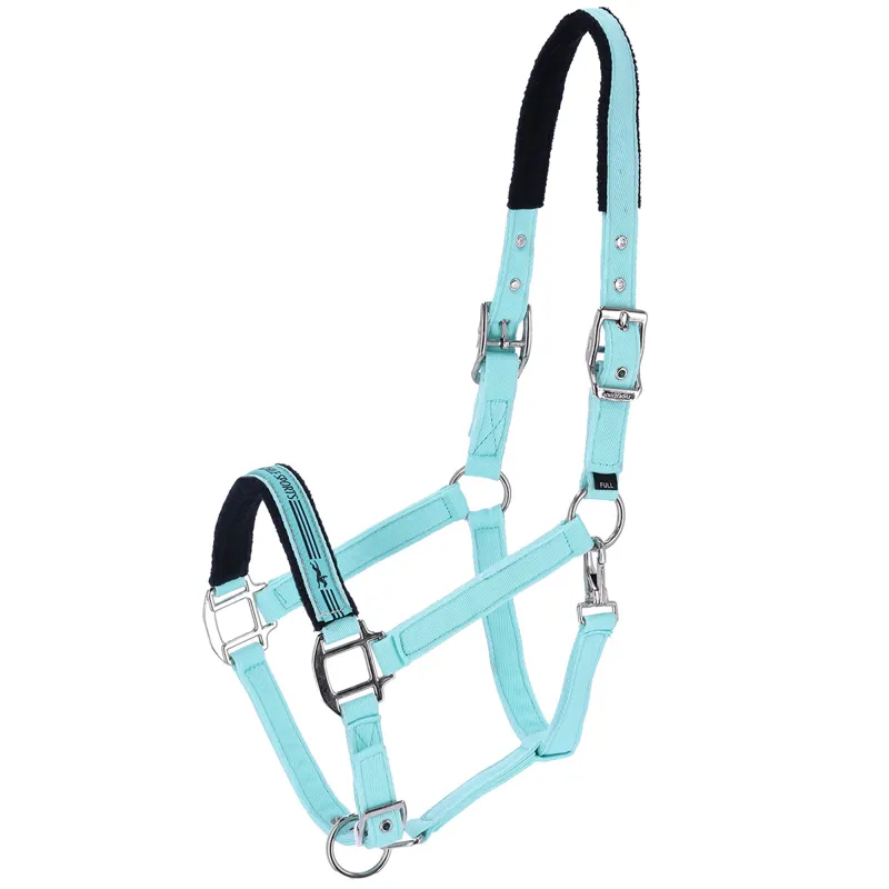 Schockemohle Memphis II Headcollar - Aqua Sea