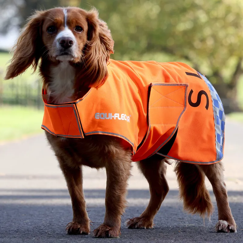 EQUI-FLECTOR Mesh Reflective Dog Coat - Orange-1