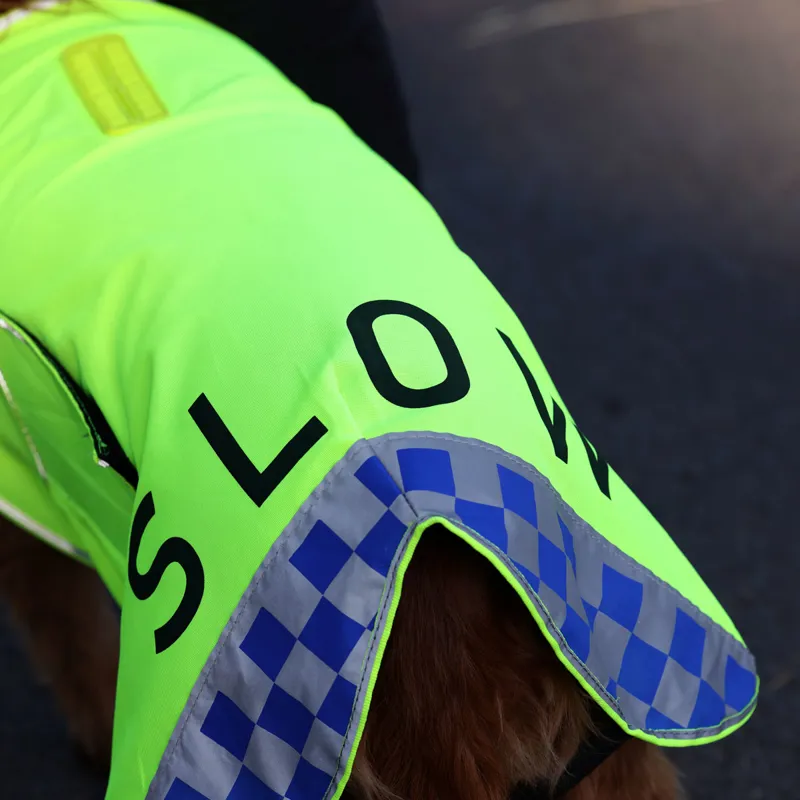 EQUI-FLECTOR Mesh Reflective Dog Coat - Yellow-3