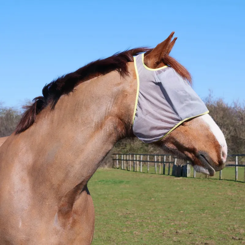 Equilibrium Field Relief Midi Fly Mask with No Ears - Grey/Yellow-1