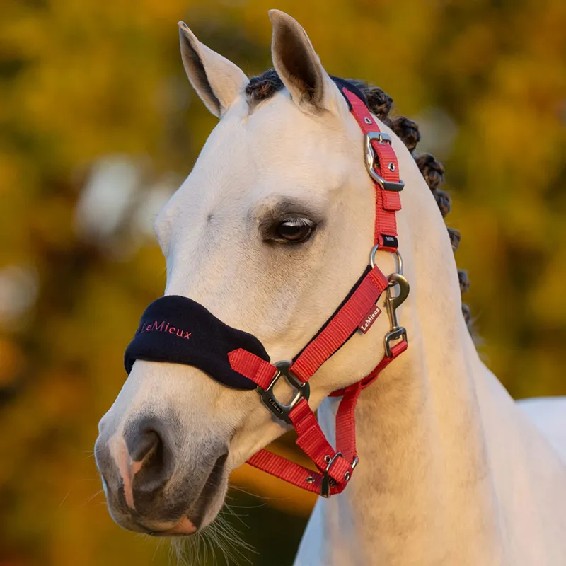 LeMieux Mini Vogue Headcollar and Lead Rope - Cranberry-1