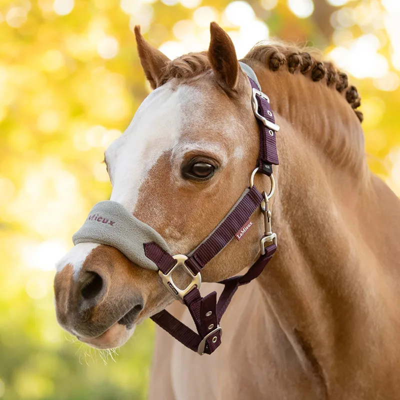 LeMieux Mini Vogue Headcollar and Lead Rope - Damson