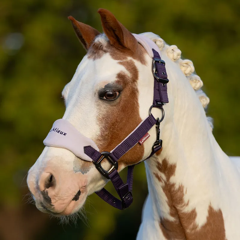LeMieux Mini Vogue Headcollar and Lead Rope - Juniper